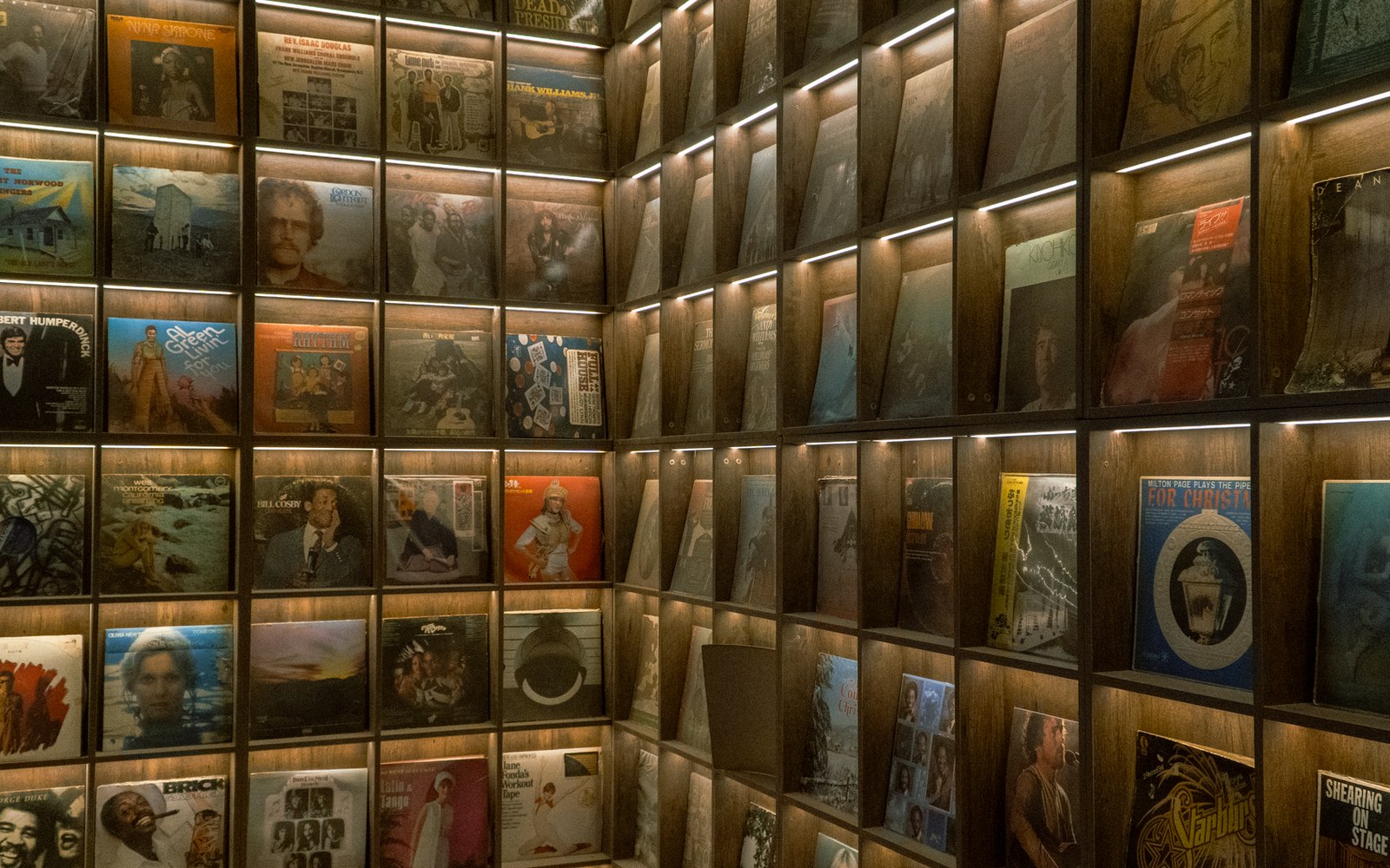 Wall-to-wall shelves display rows of illuminated vinyl record album covers